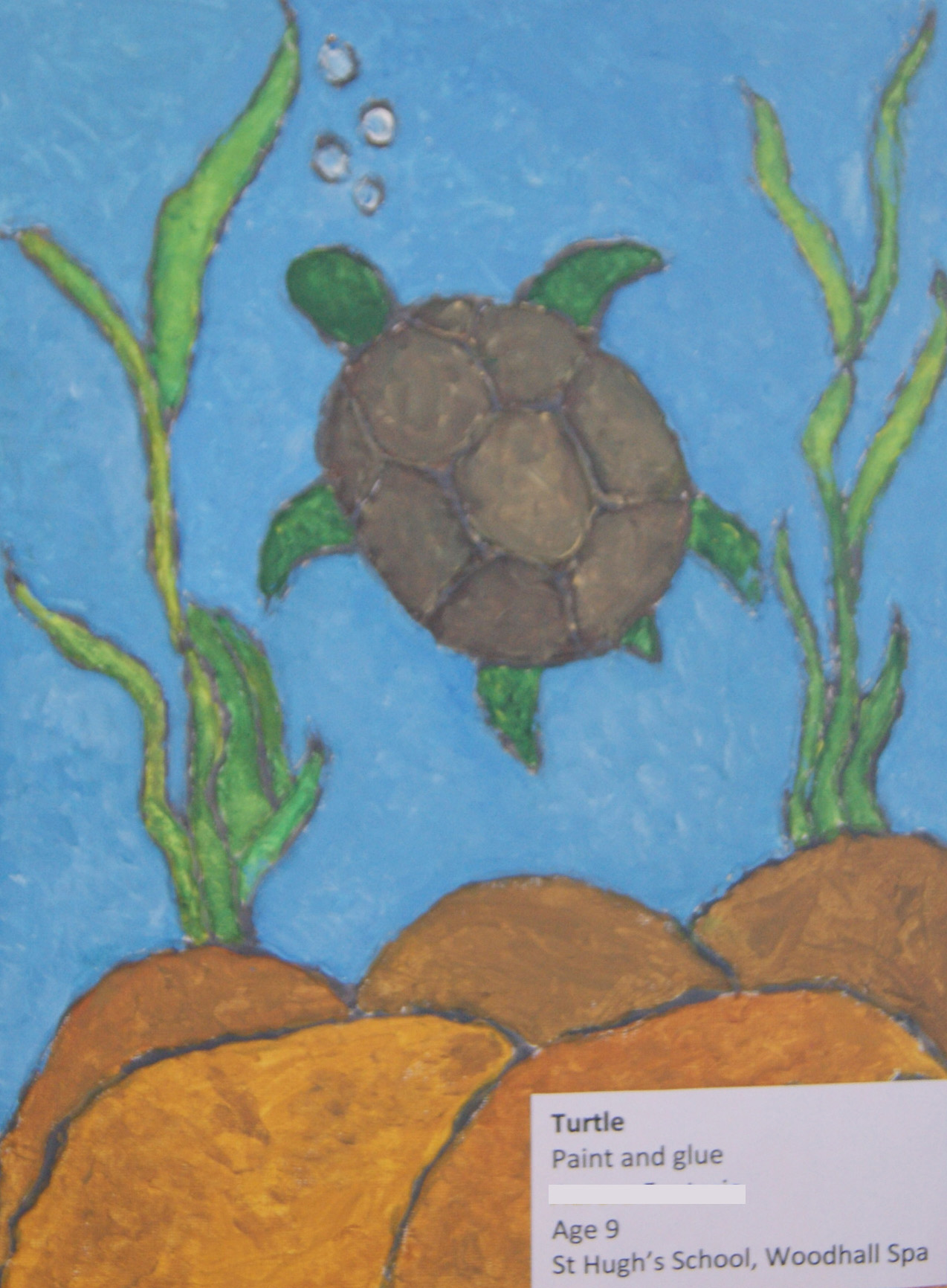 Turtle St Hugh's Age 9